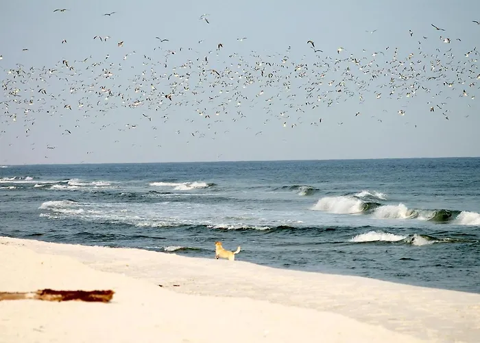 Lägenhet White Pearl 0.10 *